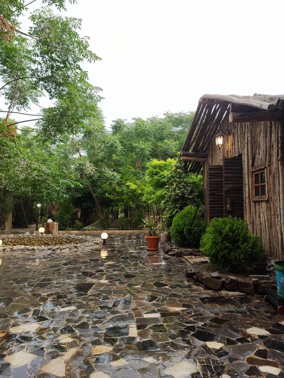کباب سرای زیتون