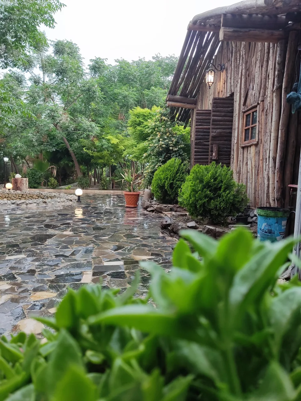 کباب سرای زیتون - تصویر 2