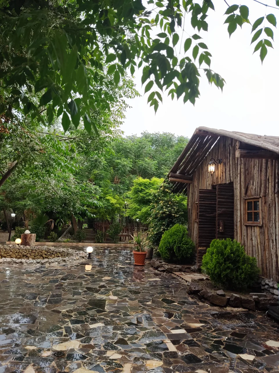 کباب سرای زیتون - تصویر 3