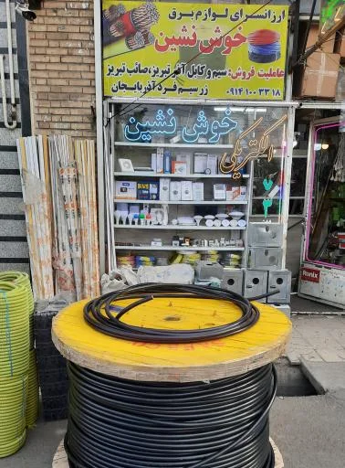 الکتریکی خوش‌نشین