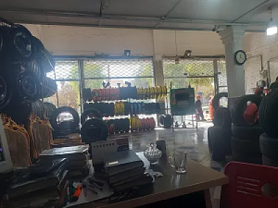 لاستیک شبانی