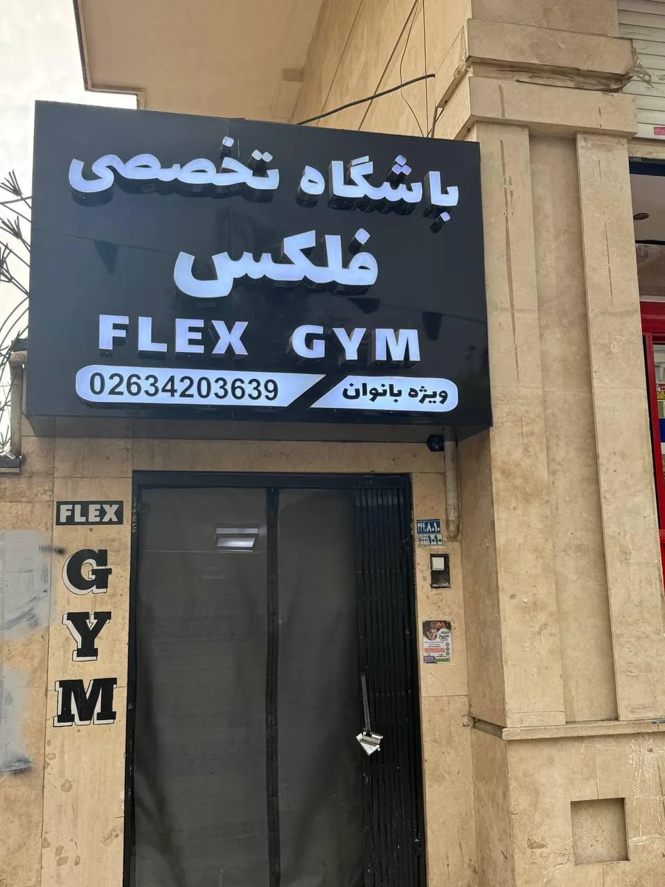 باشگاه تخصصی فلکس - تصویر 3