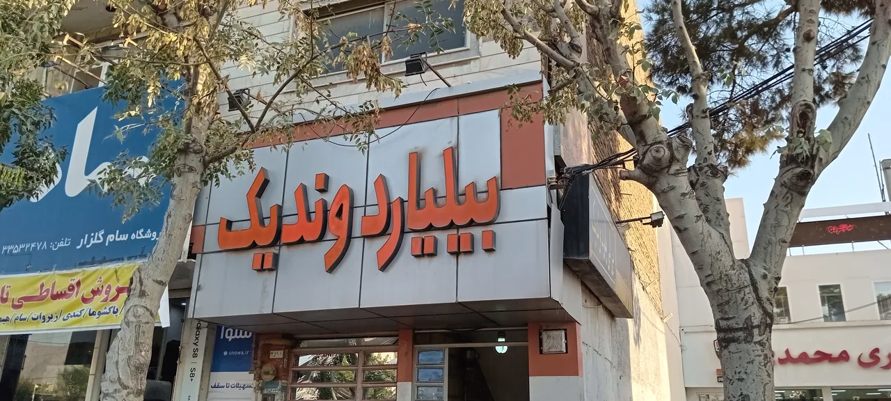بیلیارد وندیک - تصویر 2