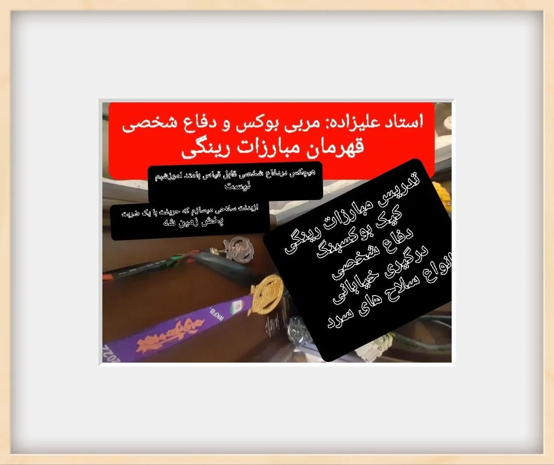 باشگاه بوکس علی پارسا - تصویر 3