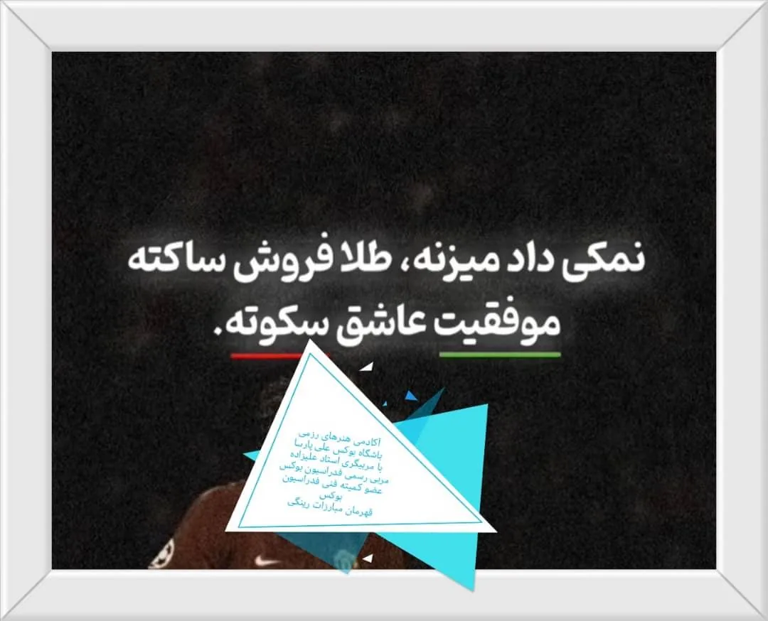 باشگاه بوکس علی پارسا - تصویر 6
