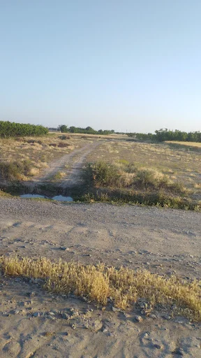 رستوران سنتی علیشاه