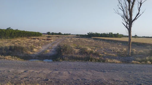 رستوران سنتی علیشاه