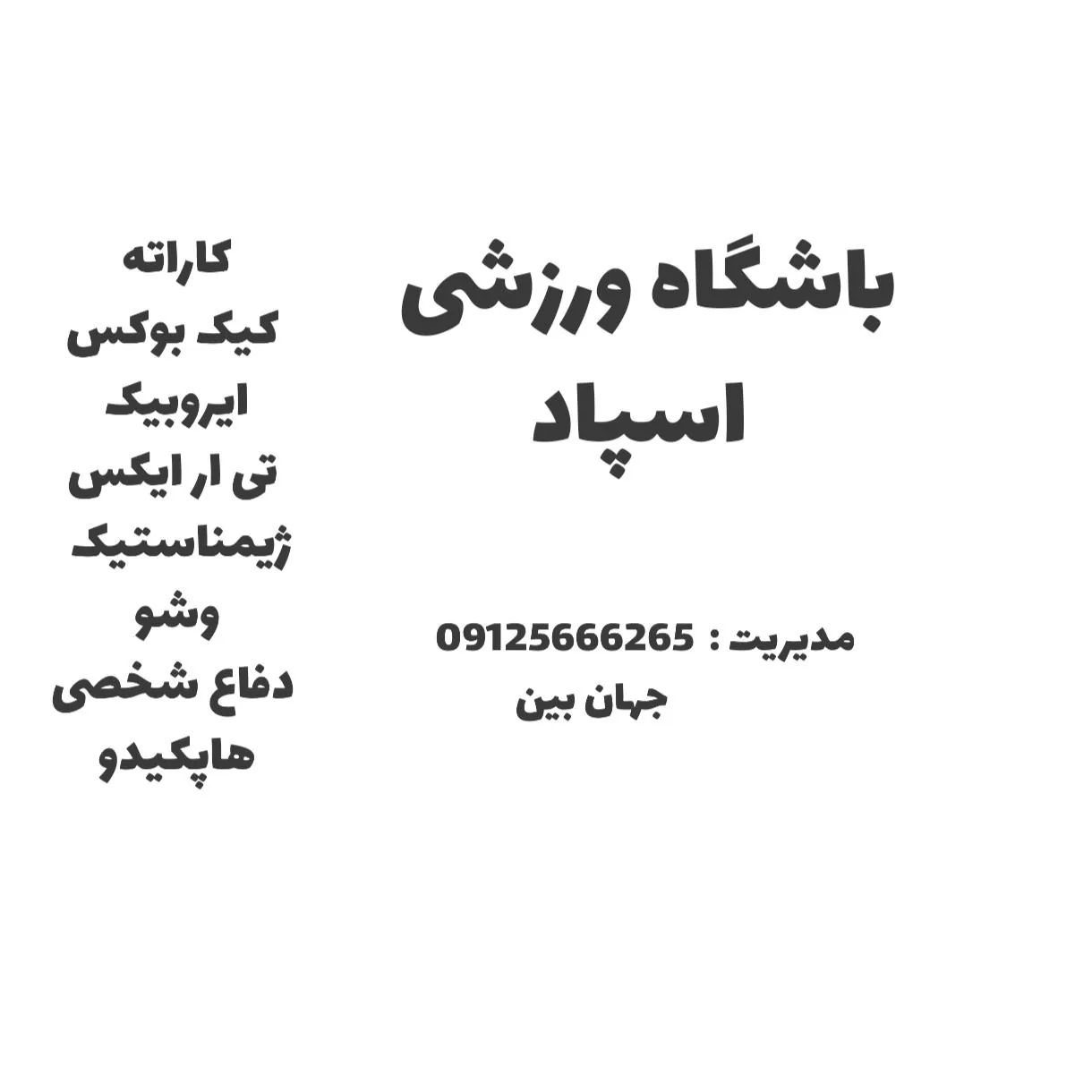 باشگاه ورزشی اسپاد - تصویر 2