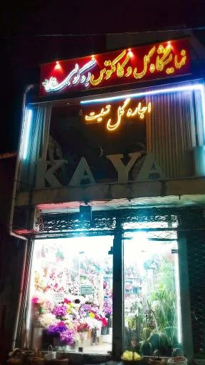 گلفروشی ائوگولی