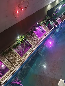 باغ رستوران شب