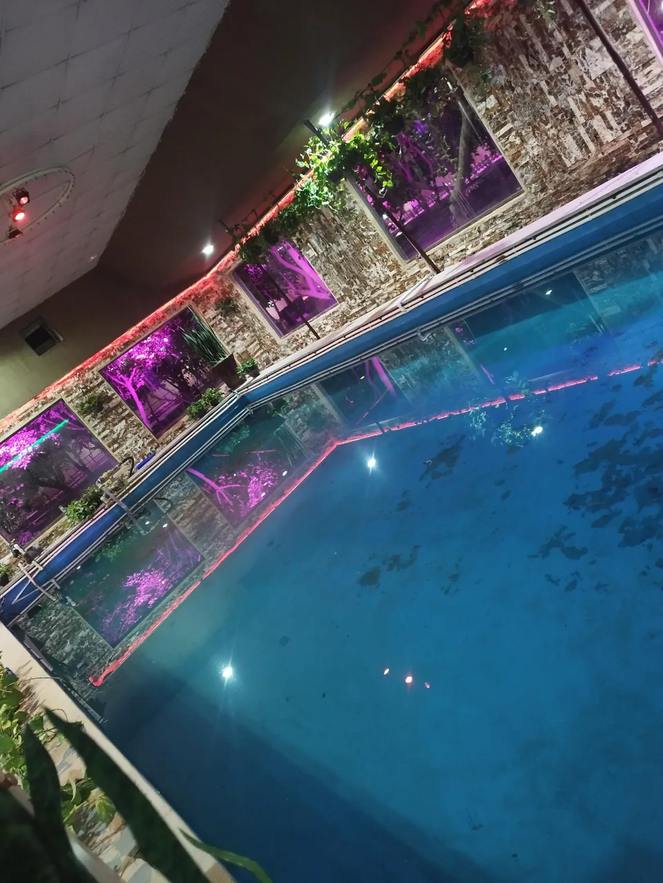 باغ رستوران شب - تصویر 2
