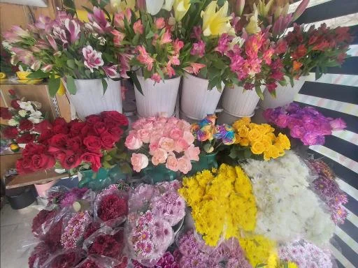 گل فروشی زمرد