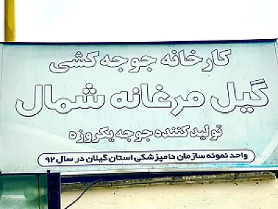 جوجه کشی گیل مرغانه