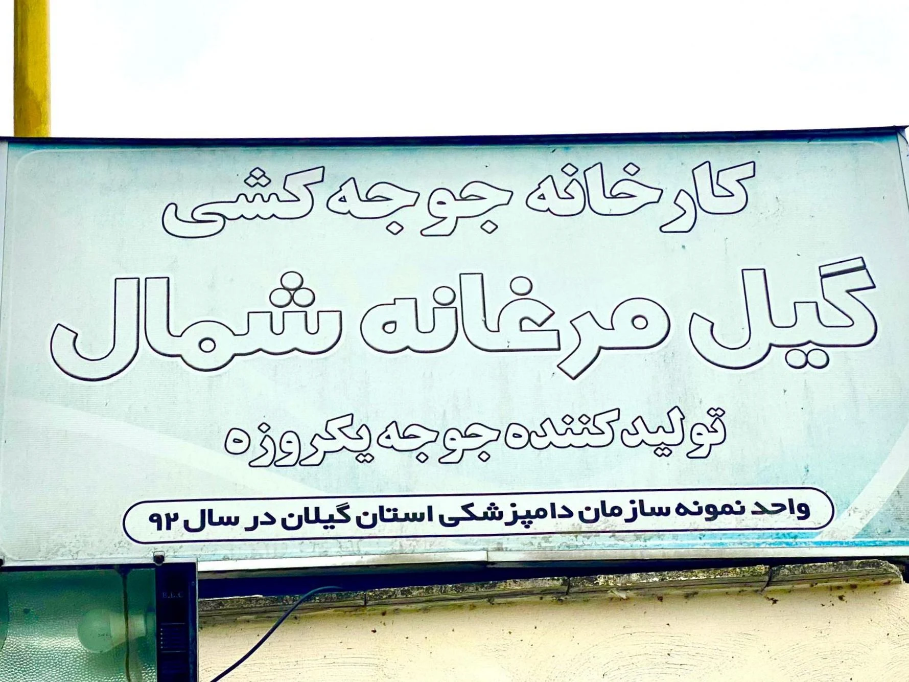 جوجه کشی گیل مرغانه