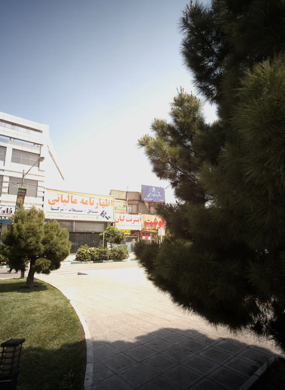 اینترنت لیان