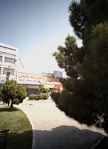 اینترنت لیان
