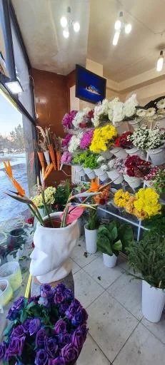 گل سرای ارکا