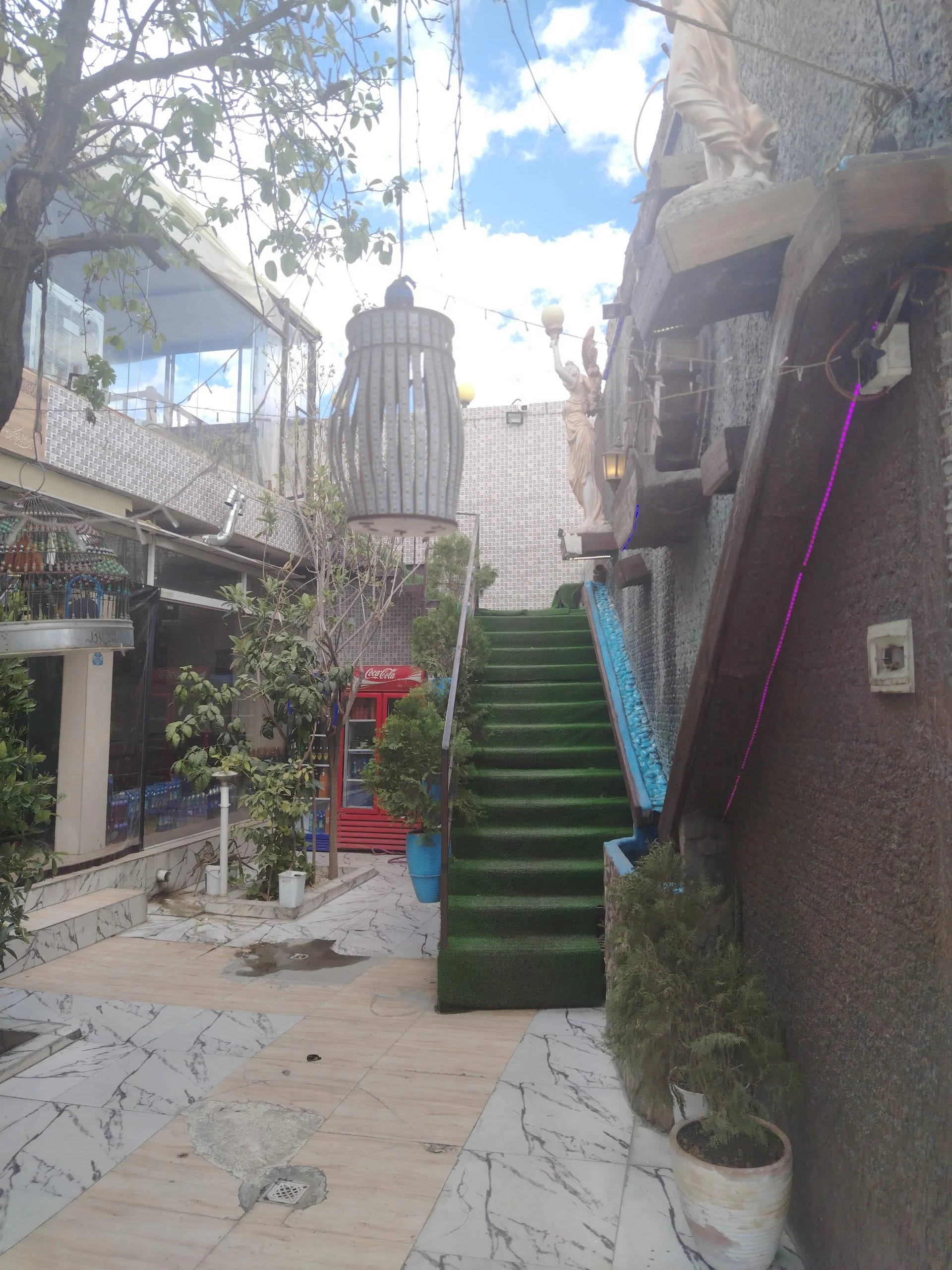 غذای پاچنار