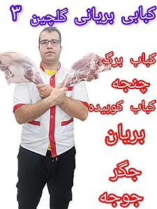 کباب و بریانی گلچین ۳