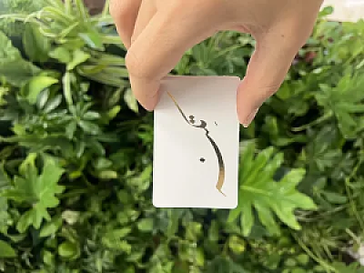 مرکز تخصصی حرکات اصلاحی تکنه