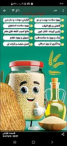 نانوایی بربری شهدای خدمت