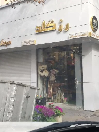 رز گلد