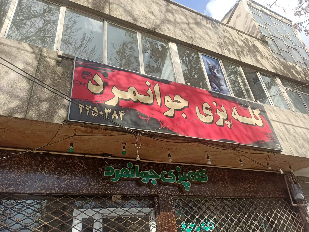کله پاچه