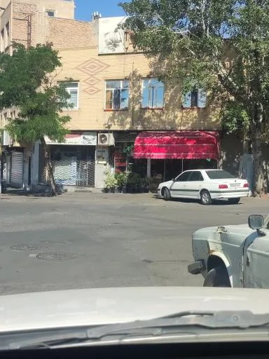 گل‌فروشی وحید