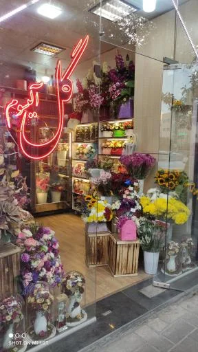 گل فروشی آلیسوم