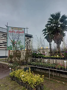 گلسازی باغچه