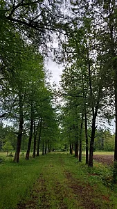 نهالستان خانزاده