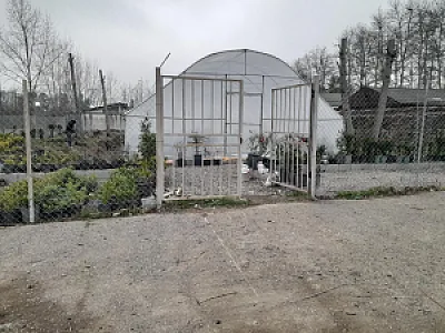 گلخانه شیشه ای