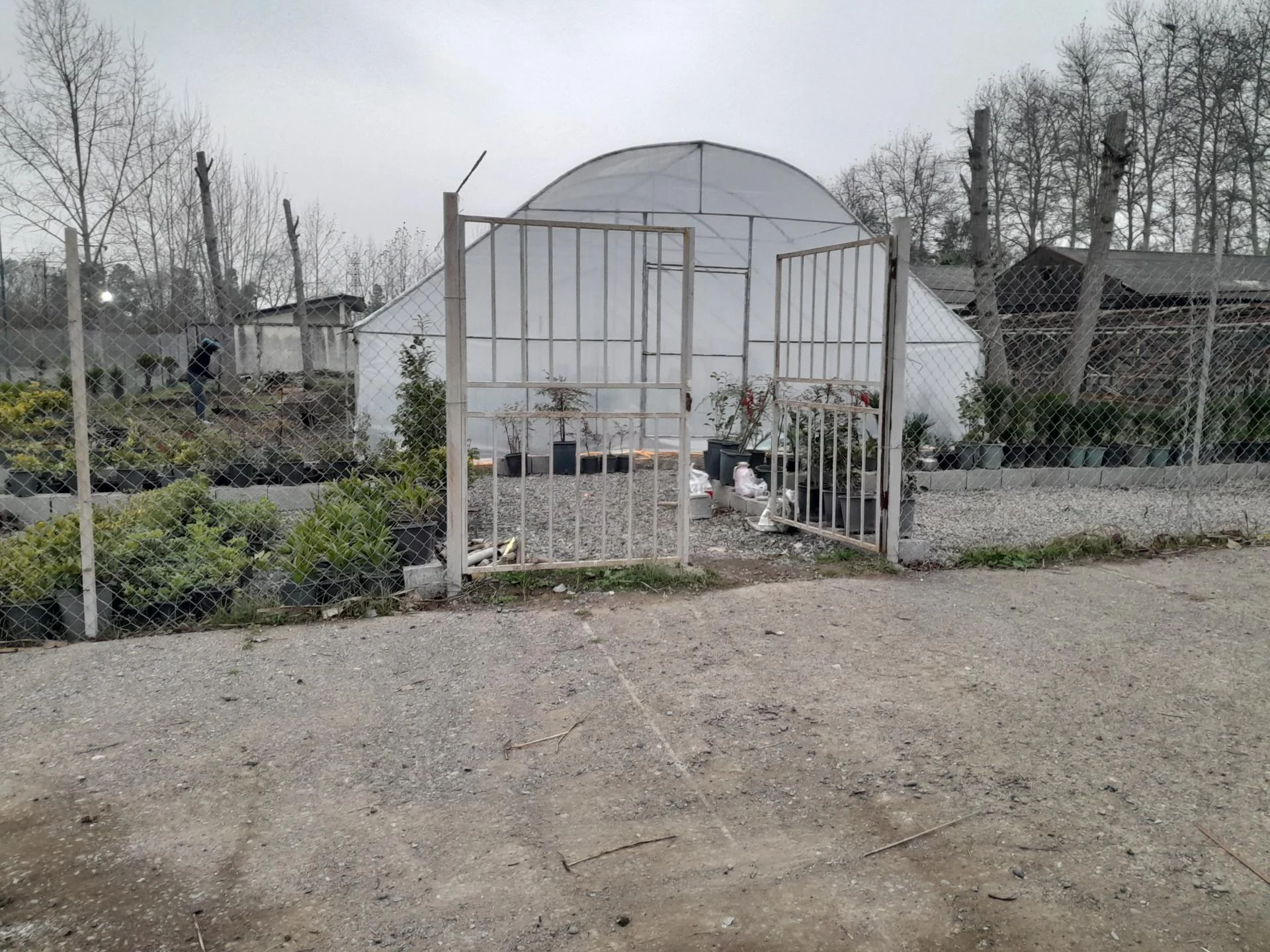 گلخانه شیشه ای