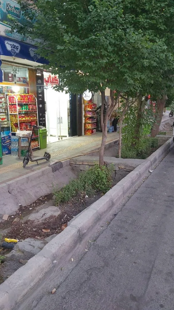 کباب و جوجه ارمایل - تصویر 2