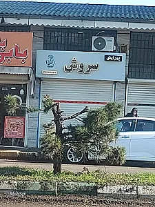 پیرایش سروش