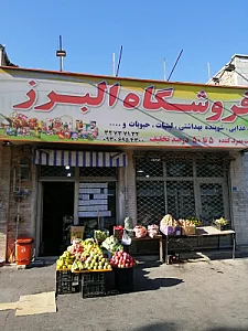فروشگاه البرز
