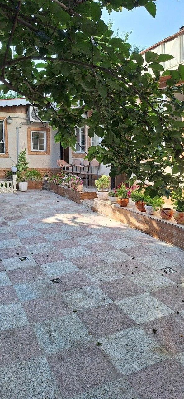 آموزشگاه زبان سفیر پسران نوجوان - تصویر 3