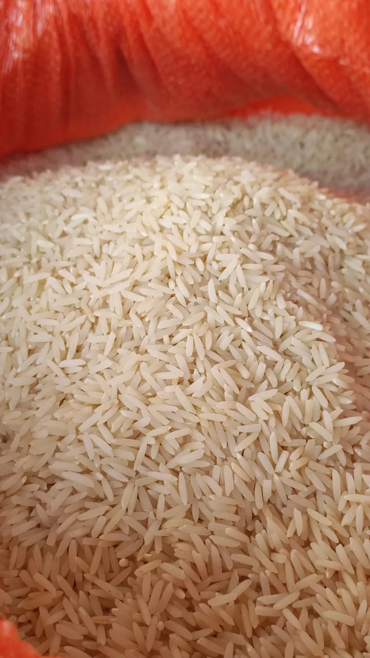 برنج سیدی