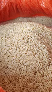 برنج سیدی