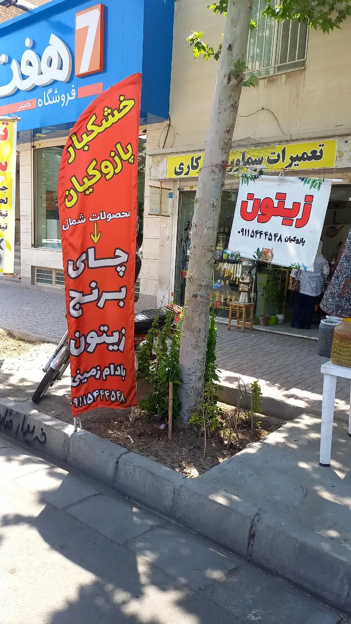 محصولات شمال پازوکیان - تصویر 4