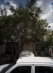 مرکز درمان اعتیاد راه روشن