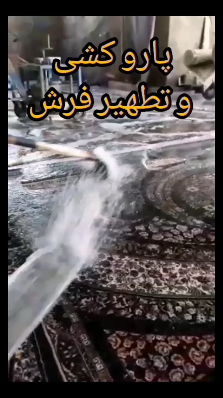 قالیشویی مدرن و تخصصی سرای ایرانی - تصویر 5