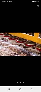 قالیشویی چلسی