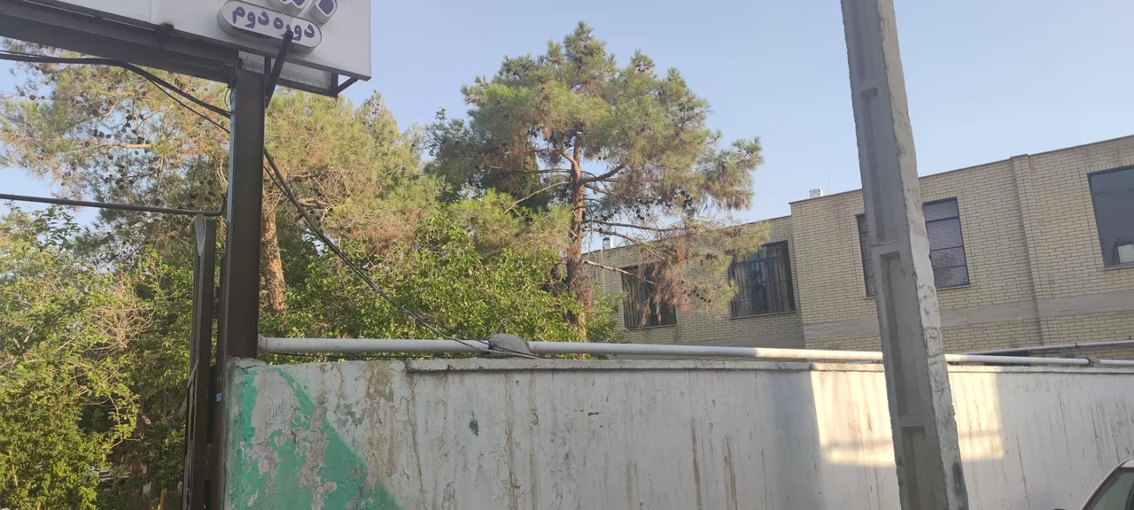 دبیرستان نمونه دولتی شهید سید ساعد هاشمی