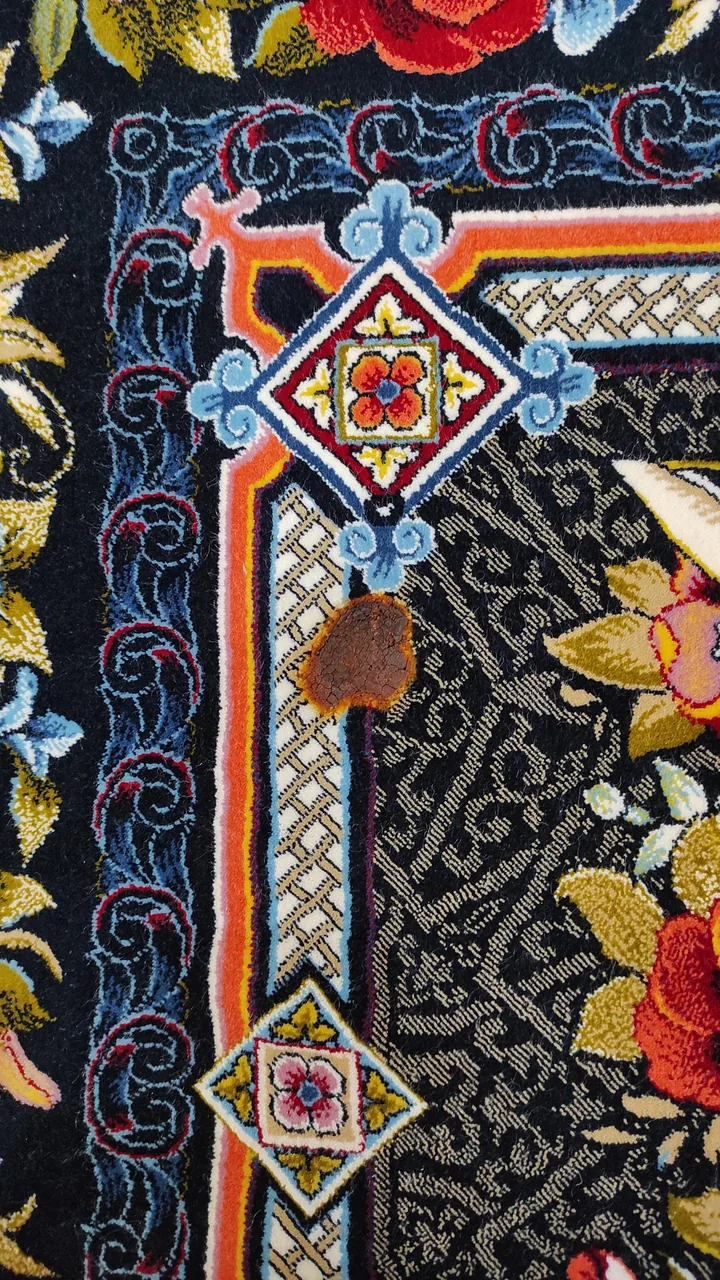 رفوگری پاتریس
