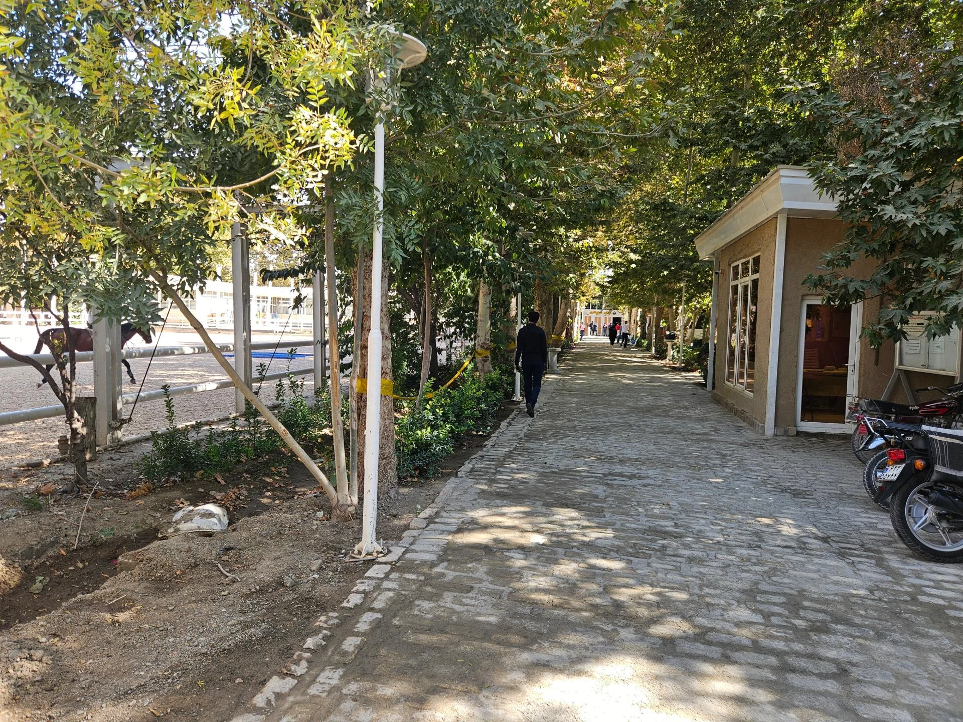 مانژ سوارکاری ناژوان - تصویر 2