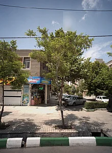شوینده بهداشتی رضا