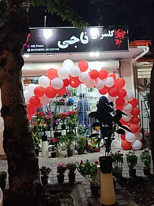 گلسرای ناجی