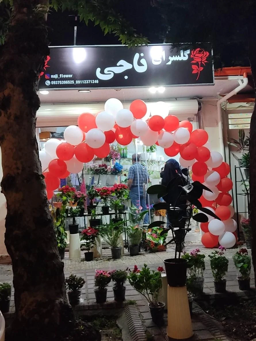 گلسرای ناجی