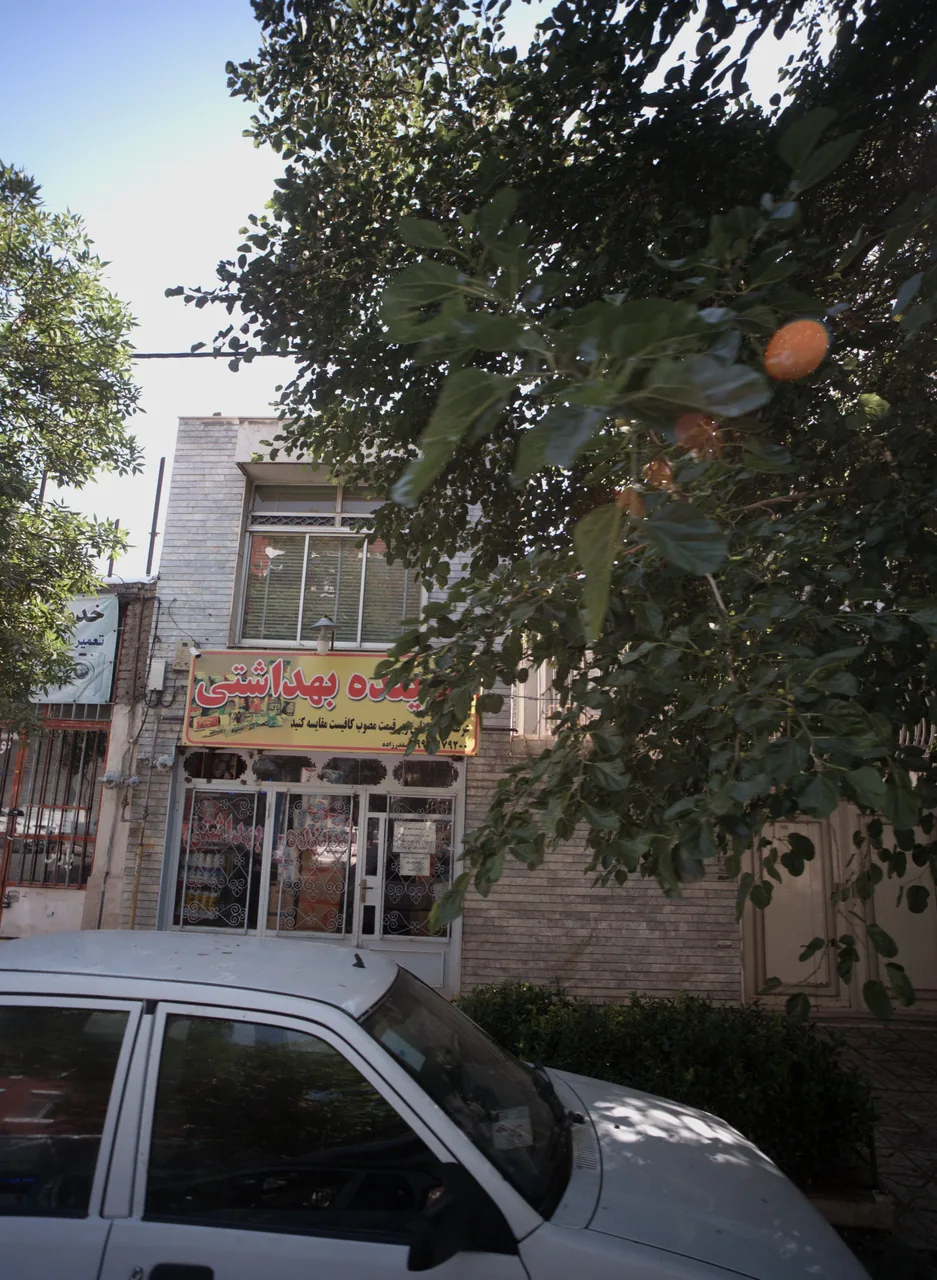 شوینده بهداشتی